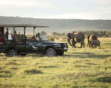 Fly Safari Mara Kichwa by andBeyond